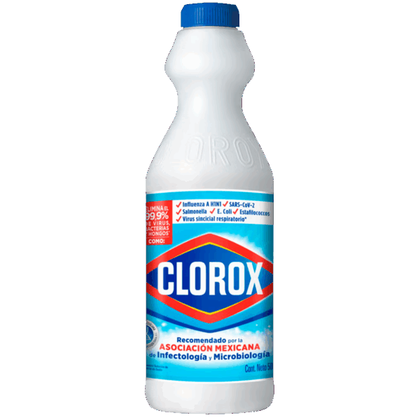 Clorox 930 ml